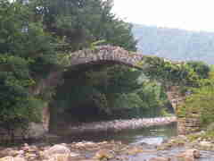 Nagarevi tiltas