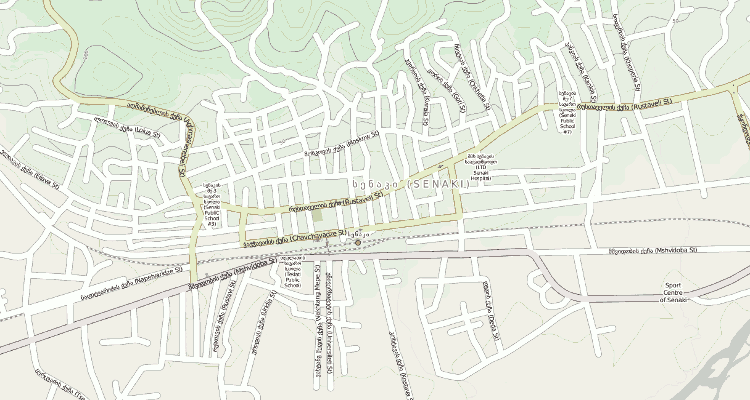Senaki miesto žemėlapis