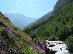 Kazbegi nacionalinis parkas