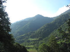 Mtirala nacionalinis parkas