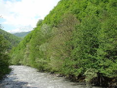 Luchunisckali upė prie Licheti
